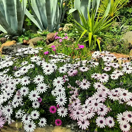 Rasoa Frühstückspension Agde