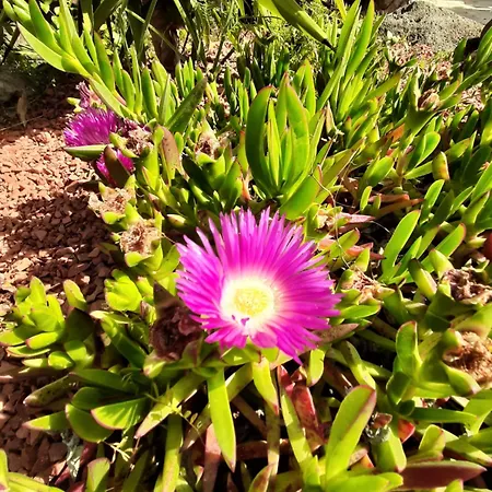 Frühstückspension Rasoa Agde