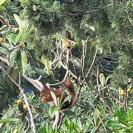 Frühstückspension Rasoa 4*