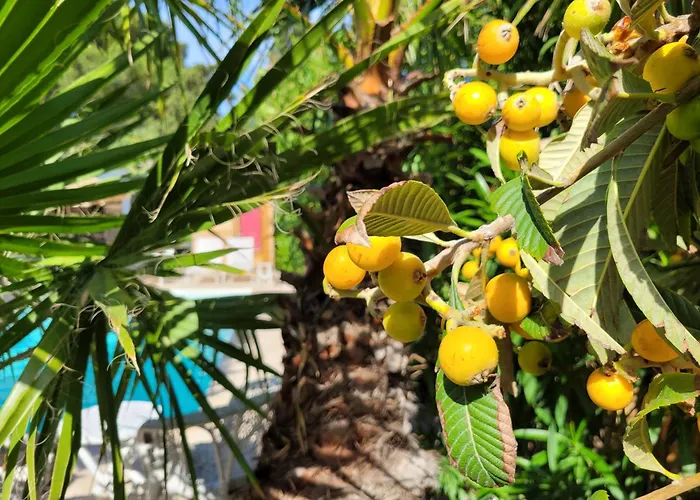 Rasoa Отель типа 