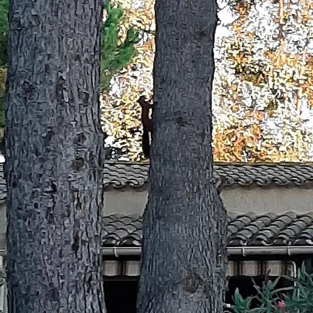 ベッド・アンド・ブレックファスト Rasoa 4*