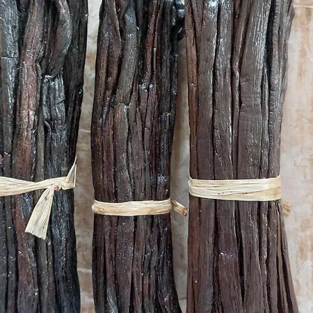 ベッド・アンド・ブレックファスト Rasoa