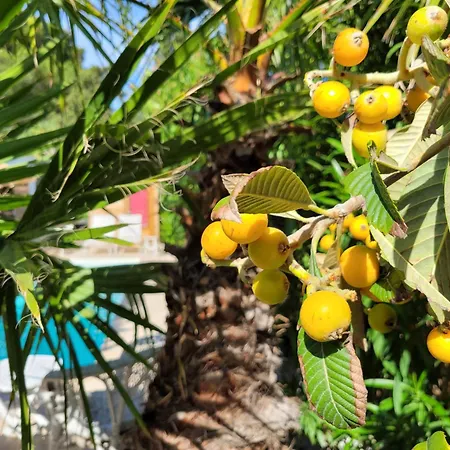 Rasoa ベッド・アンド・ブレックファスト