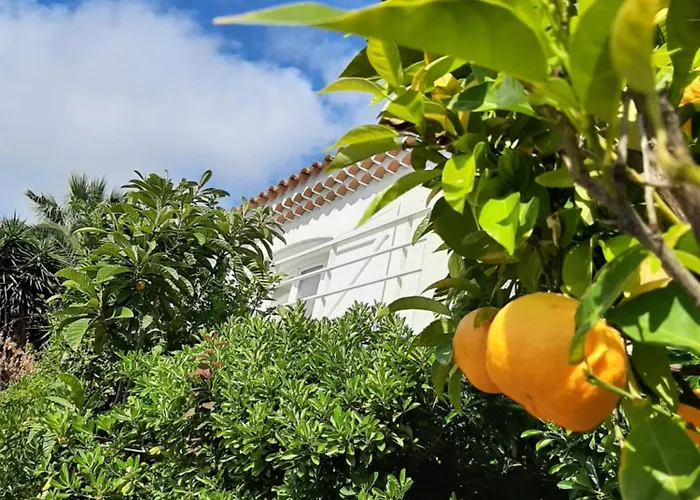 Bed & Breakfast Rasoa