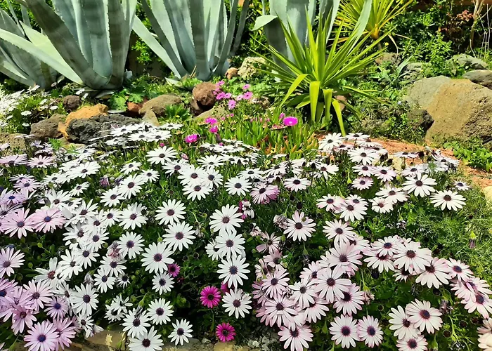 Rasoa Bed & Breakfast Agde