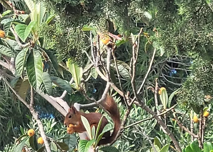 Bed & Breakfast Rasoa 4*